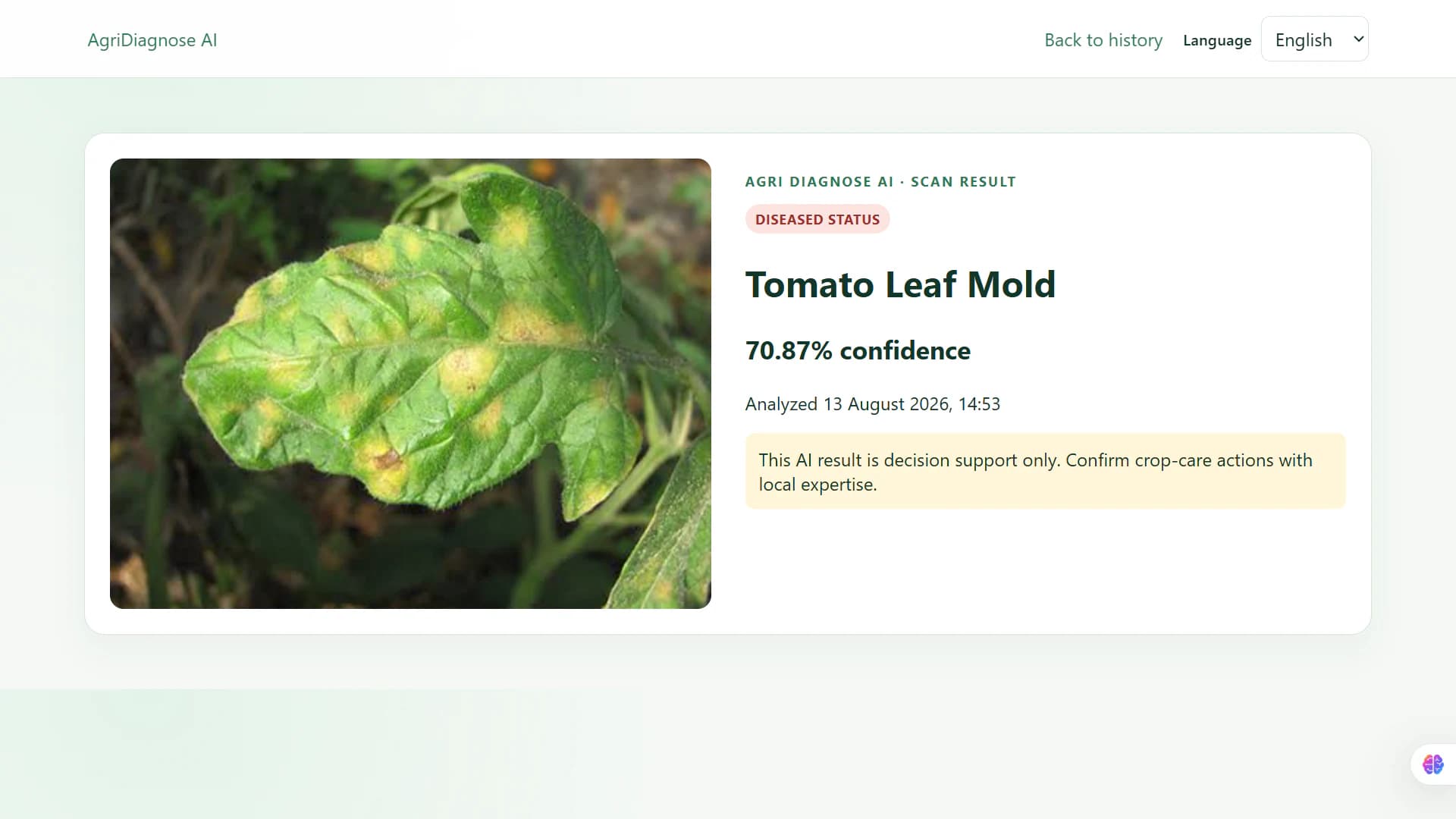 AgriDiagnose AI result identifying Tomato Leaf Mold from a leaf image.