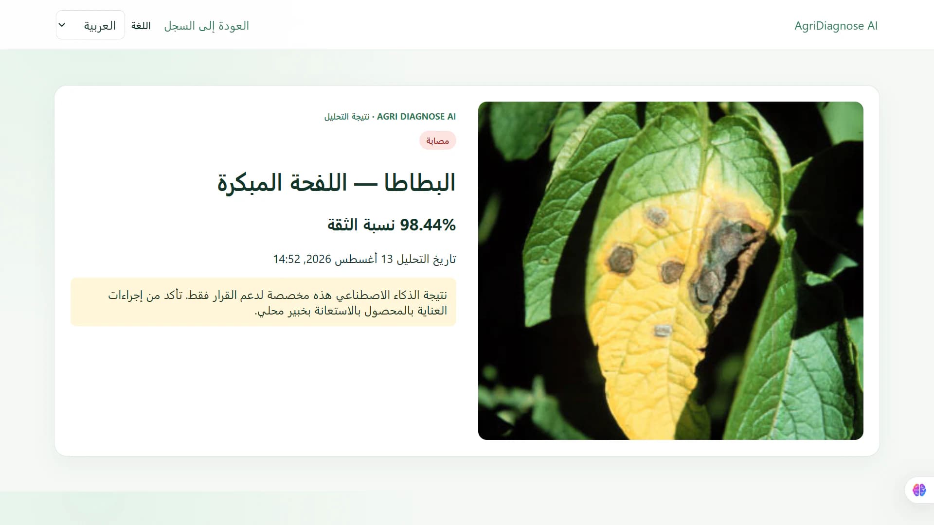 Arabic prediction result for potato late blight.